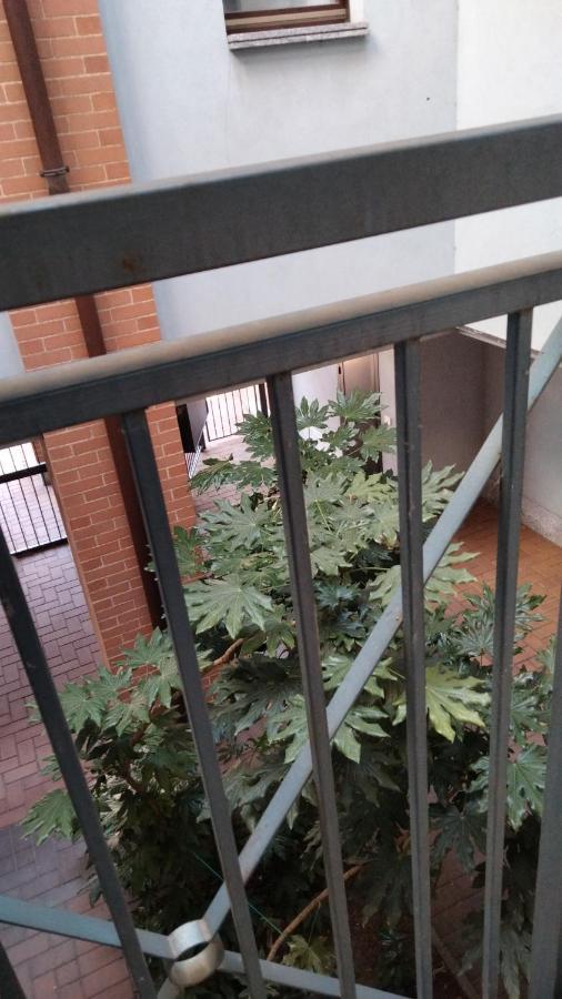Ama Cityhouse Νοβάρα Εξωτερικό φωτογραφία